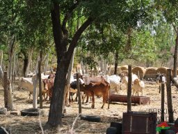 Ouaga_19_79